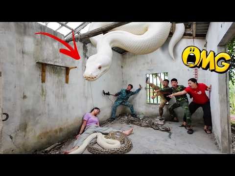 Brave Hunter Risks His Life To Rescue Ethnic Girl Attacked By Giant White Python In Abandoned House