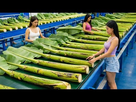 Inside the Largest High-Tech Banana Stem Factory You've Never Seen Before Full Process…