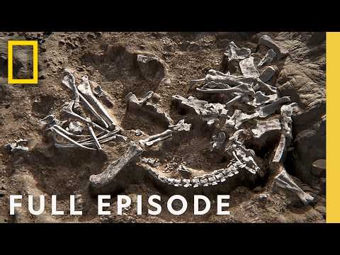 Examining the Sands of Time (Full Episode) | Drain the Oceans Compilation | National Geographic