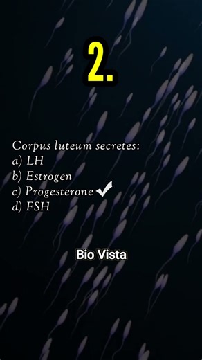 5 Important Questions on Human Reproduction | Class 12 Biology | Bio Vista