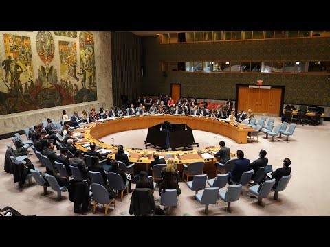 EN VIVO: El Consejo de Seguridad de la ONU se reúne sobre Venezuela