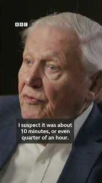 David Attenborough on unforgettable gorilla encounter in Rwanda - BBC Africa