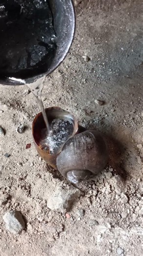 Trash to Treasure: Recycled Metal Snail Shell Art ♻️ #shorts #viralvideo #art