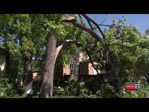 From toppled trees to torn roofs, northern Minnesota rallies after storm