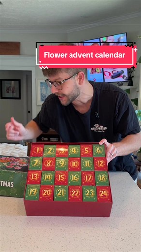 The 2026 advent calendar with 24 buildable flowers is a staple! #tiktokshopblackfriday #tiktokshopholidayhaul #adventcalendar #christmas2026