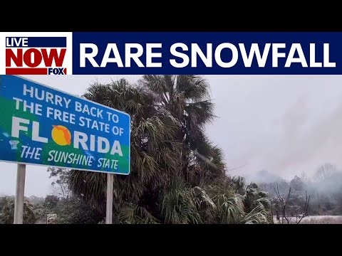 Rare gulf effect snow flurries spotted in Florida