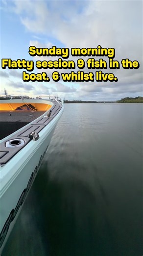 Sunday Morning Flathead Fishing: 9 Fish in the Boat!