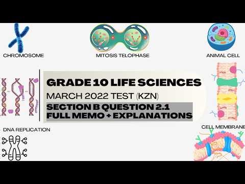 Grade 10 Life Sciences Mitosis Diagram Questions | KZN March 2022 Test Paper Explained