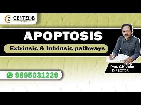 9895031229 | SET BOTANY | APOPTOSIS | PROGRAMMED CELL DEATH | ONLINE/OFFLINE CLASSES