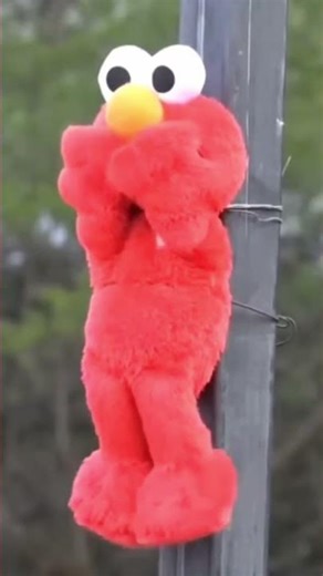 ELMO EXPLOSION #elmo #explosion #pokemon