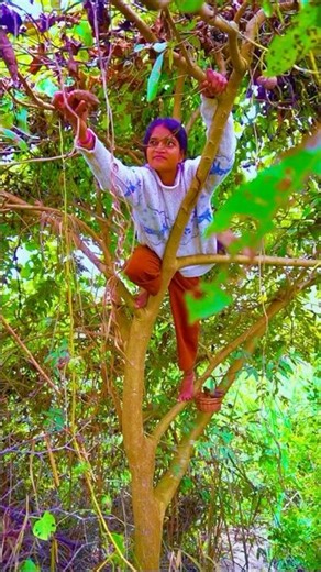 I brought wild potatoes 🥔 🥔🥔 #villagelife #food