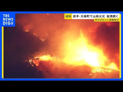 「おとといも津波で避難したのに…」岩手・大槌町で山林火災…約2000人に避難指示 発生から約9時間後も延焼中【news23】｜TBS NEWS DIG