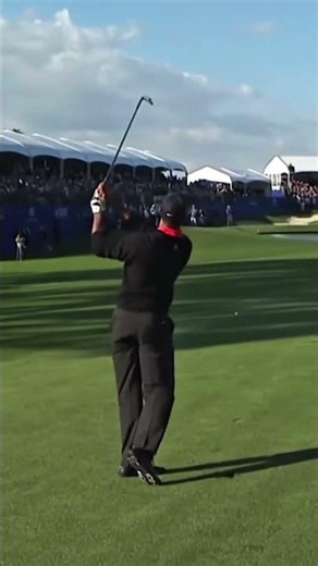 Tiger woods must make par to be world number one