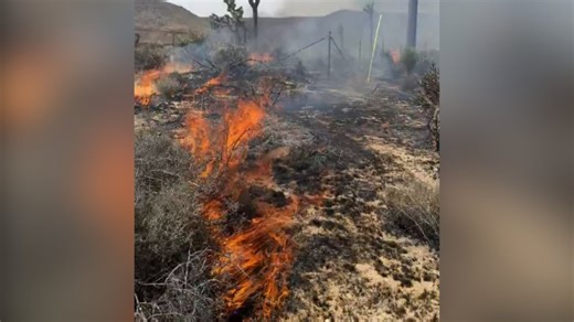 Multiple buildings destroyed by 35-acre wildfire burning in San Bernardino County