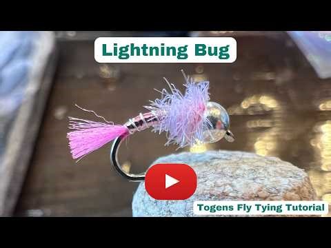 Lightning Bug - Fly Video Tutorial