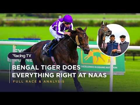 Aidan O'Brien on British Champions Day Plans, Trainers' Championship & a Good Winner in Bengal Tiger