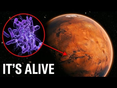 NASA Brought Back a Mars Sample - Then Found THIS Inside