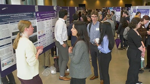 Young scientists show off work during London Health Research Day