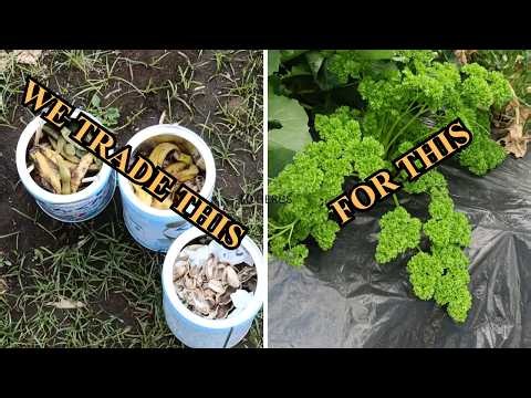 Our 25m² Farm Is Running Out Of Space! 🚨 ($0 Herb Update)