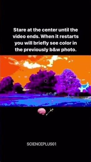 Brain Magic | Mind Magic | Neuroscience: How Your Brain Work #Neuroscience #shorts #mindset