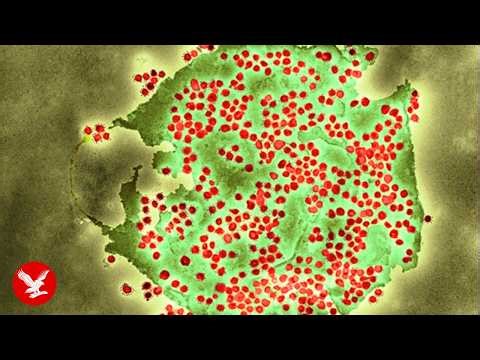 New Covid variant spreads across 25 states
