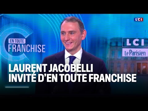 "Nous sommes prêts à diriger la France" : Laurent Jacobelli｜LCI