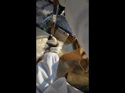 🔴 LIVE: Rolling Sticky Rice Dessert with Sweet Bean Paste | China Street Food in Action POV