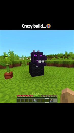 Minecraft crazy build moments