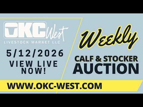 5/12/2026 - Calf & Stocker Auction - OKC West