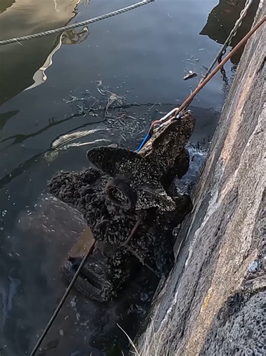 Récupération d'un moteur de bateau à l'aimant