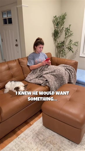 Delicious Loaded Baked Potatoes Recipe