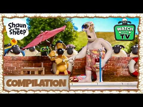 FLOCK'S WET & WILD POOL PARTY! 🐑🏊‍♂️💦 | Shaun the Sheep & Friends