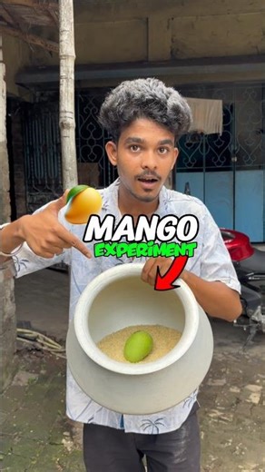 Mango 🥭