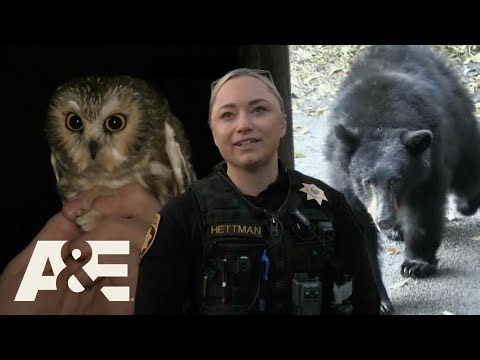 Live PD: Greatest Shifts – Patrolling the Unexpected (Part 4) – Full Episode MARATHON | A&E