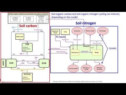 Crop models: development and calibration