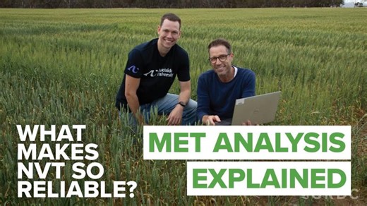 What makes NVT so reliable? MET Analysis explained | Nathan O Callaghan
