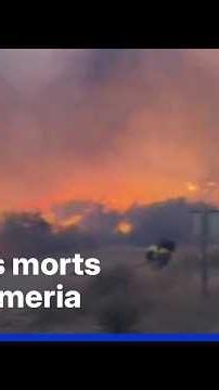 Espagne: le bilan dramatique des feux de forêt en Andalousie