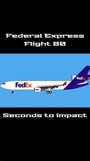 Federal Express flight 80 #aviation #animation
