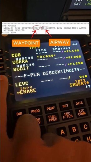 Stop typing waypoints one by one, check this 👇 #fs2020 #aviation #airbus #flight #tutorial #howto