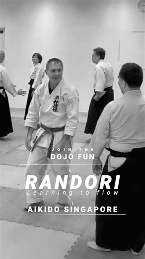 [Aikido] Randori Flow