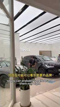 Chinese electric cars are insane!