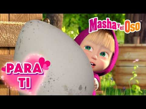 Masha y el Oso ✨ Para ti ✨ Colección 🎬 Masha and the Bear