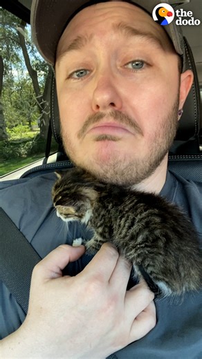Guy receives a kitten with his coffee at a Starbucks drive-thru – watch how gentle he is with her when she needs to wear a cast that’s bigger than she is😭❤️ Keep up with Clover, Kate & Ryan on TikTok: thedo.do/animalsofeden. | The Dodo