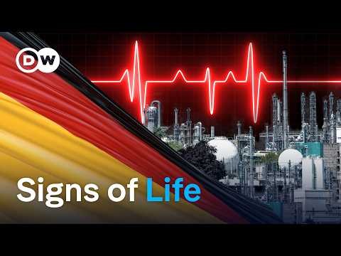 Is Germany's economy finally recovering? | DW News