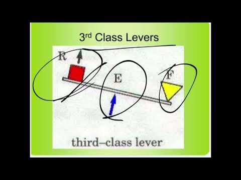 REMEDIAL PHYSICS UNIT 8 PART 1 SIMPLE MATCHINE