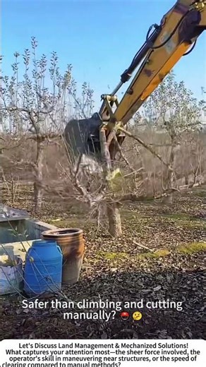 Clearing the Land: Removing Dead Trees with an Excavator 🌳🚜