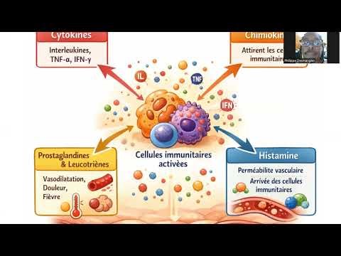 L’inflammation