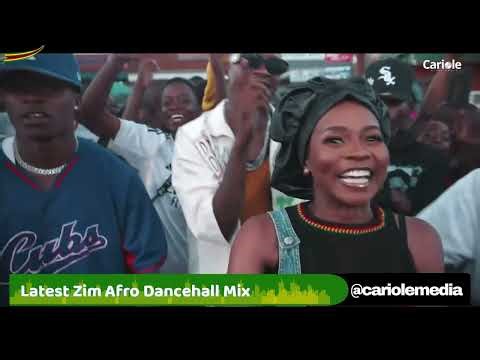 Latest Zim Afro Dancehall Hitlist 2026 Mix (Vol 2) | ft Hulengende, Jnr Spragga, Sane Wav & more
