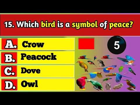 General Knowledge Trivia Quiz | Test Your Brain with Fun Questions & Ultimate Challenge Today!