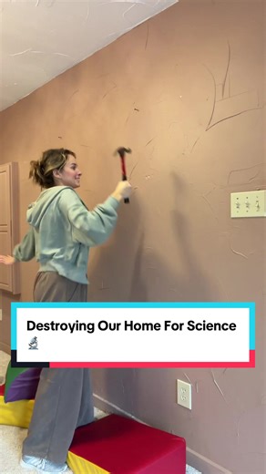 Home Renovation Project: Tearing Down for Science
